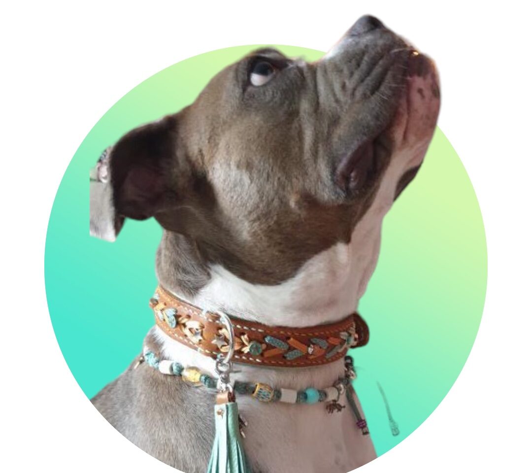 Zahra band en ketting