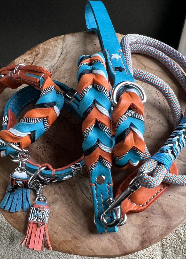 Set lijn met 2 halsbanden