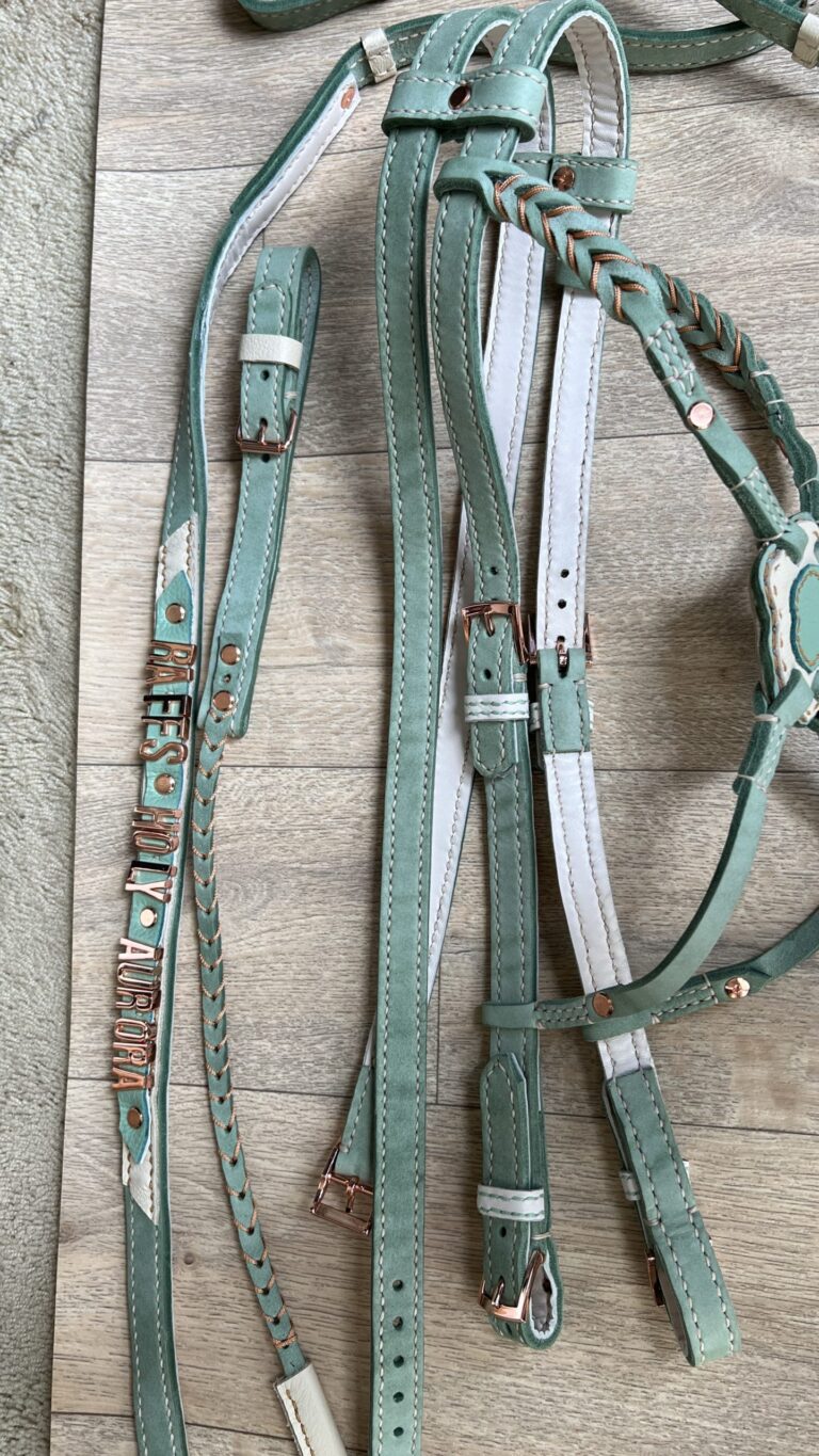 Spaans barok hoofdstel met teugels en borstketting volledig leer