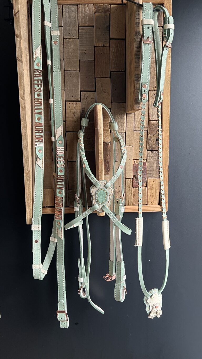 Spaans barok hoofdstel met teugels en borstketting volledig leer