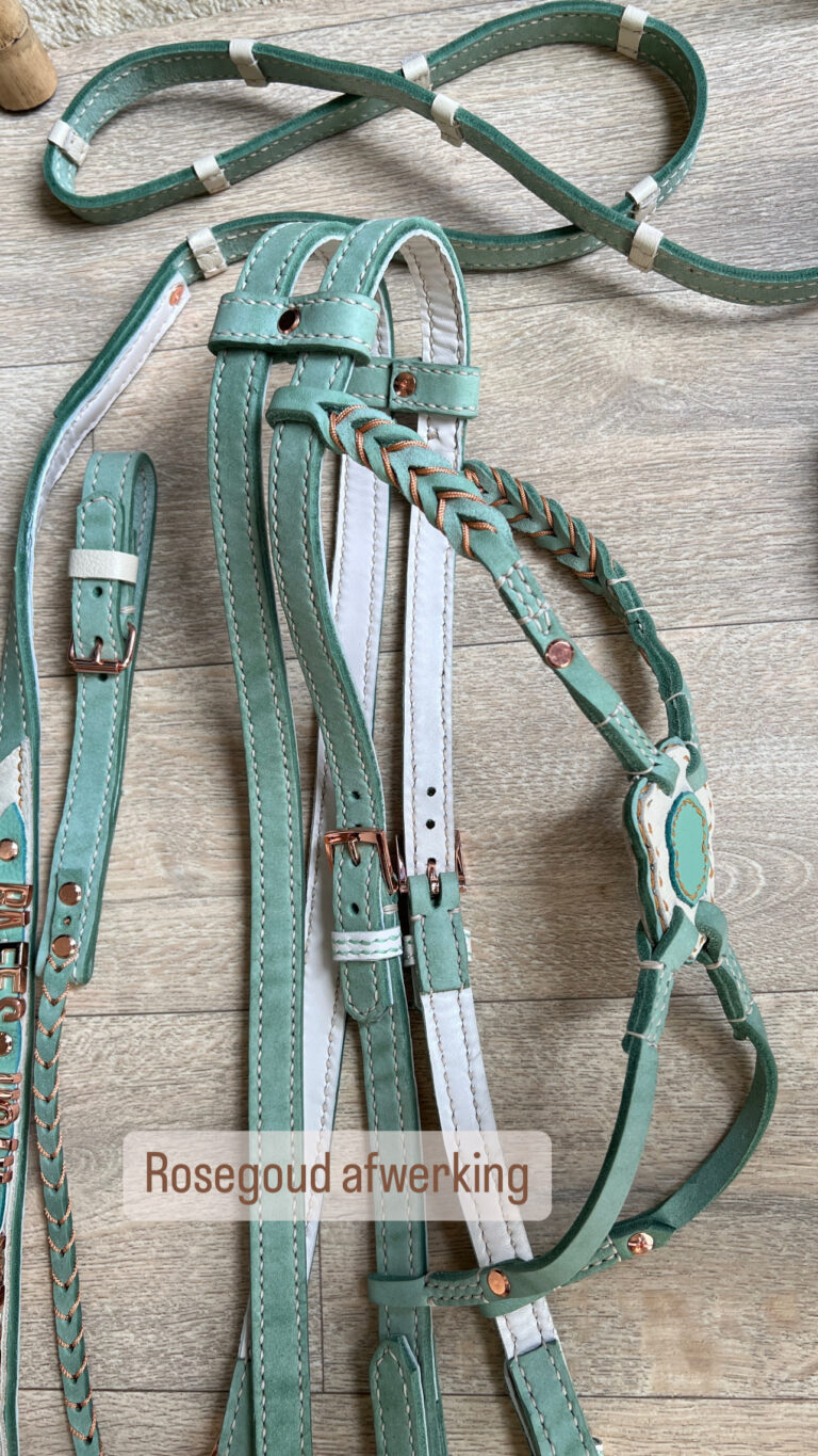 Spaans barok hoofdstel met teugels en borstketting volledig leer