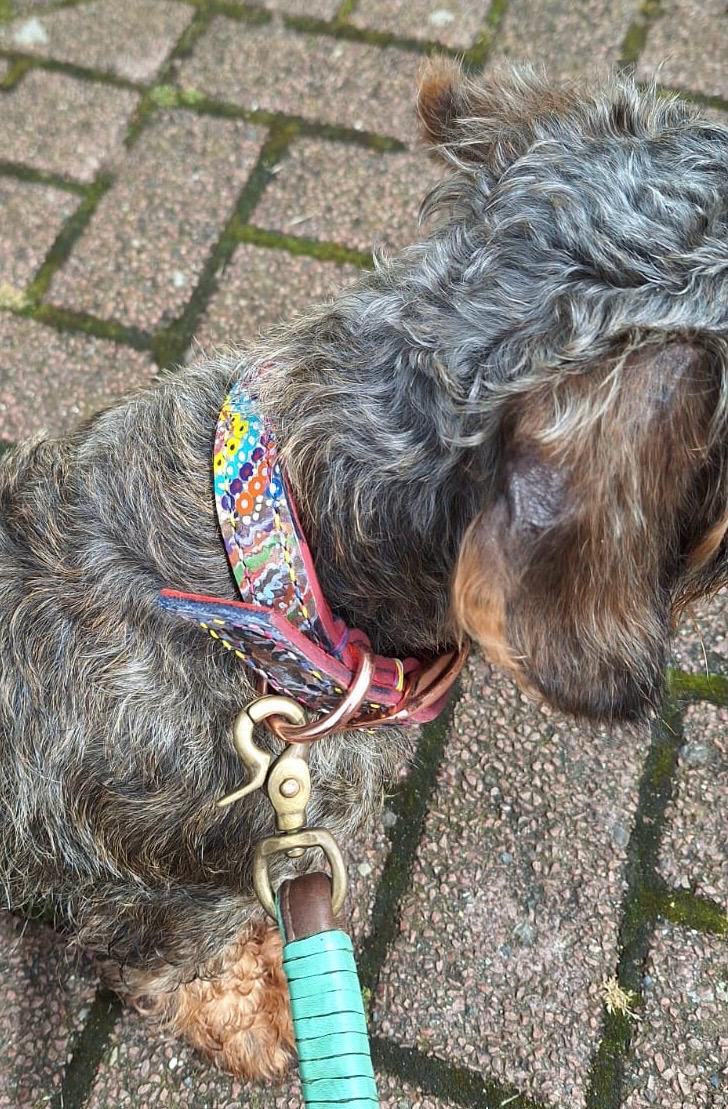 Meesje halsband leerverf rosegoud2