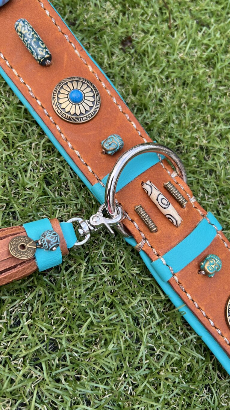 Cognac leer, aqua nappa voering conchos en kralen-2