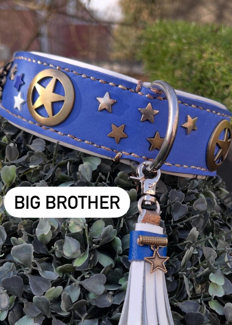 Royal blue beige nappa conchos ster groot