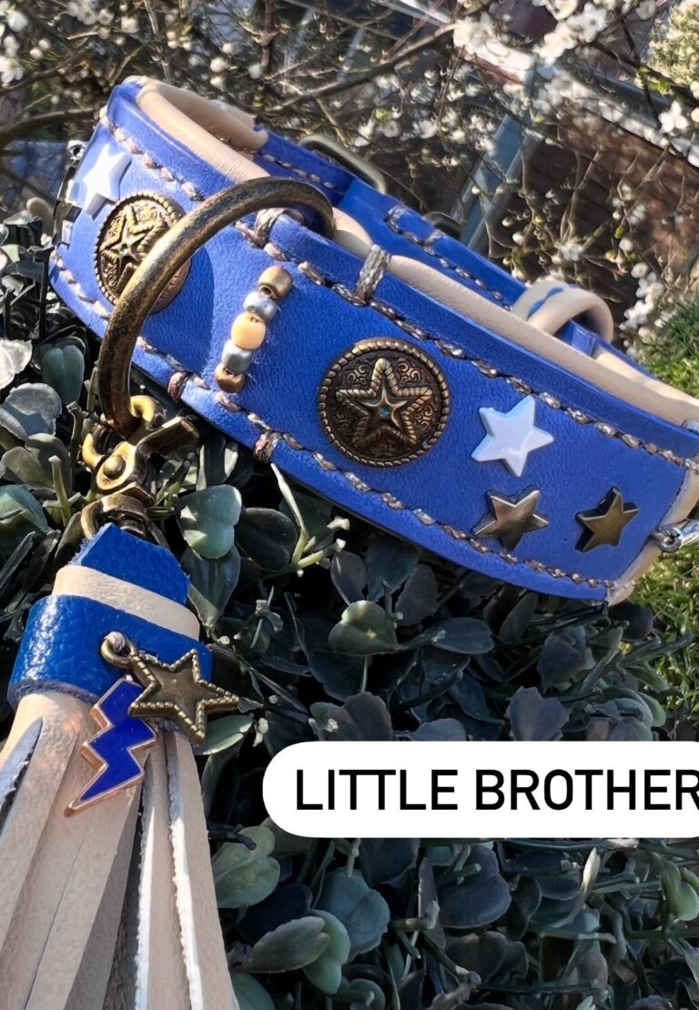 Royal blue beige nappa conchos ster klein