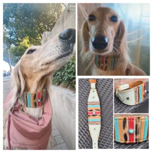 Romeo-mint-leer-nappa-decor-whippet