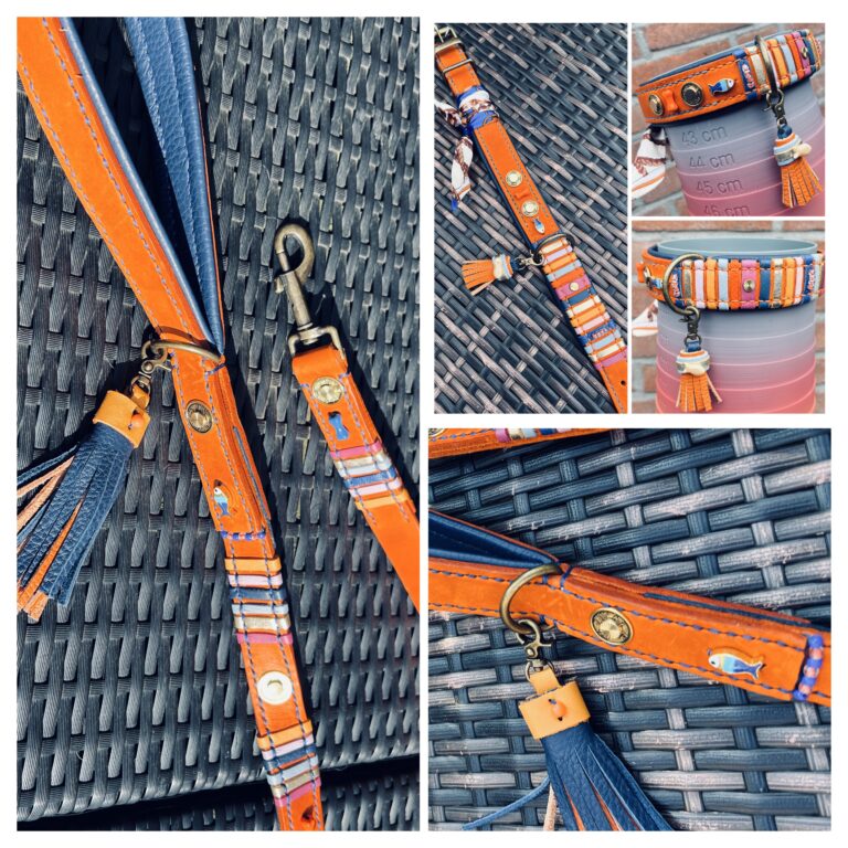 et-oranje-halsband-en-matchende-lijn-met-nappa-stroken-en-concho-deco