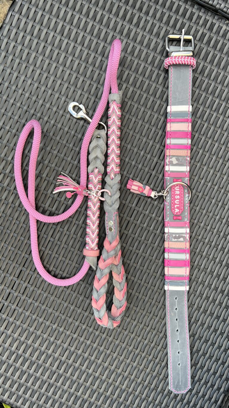 Lijn roze met grijs leer en roze lijntouw