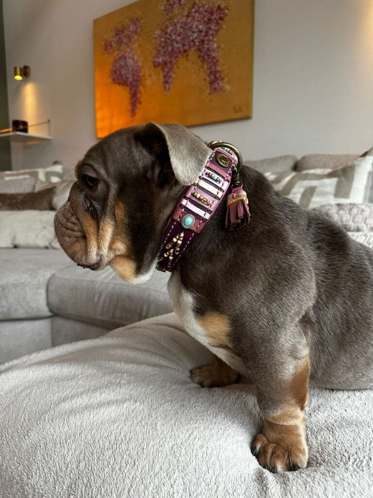 Mary pruim leer kralen en nappa decor