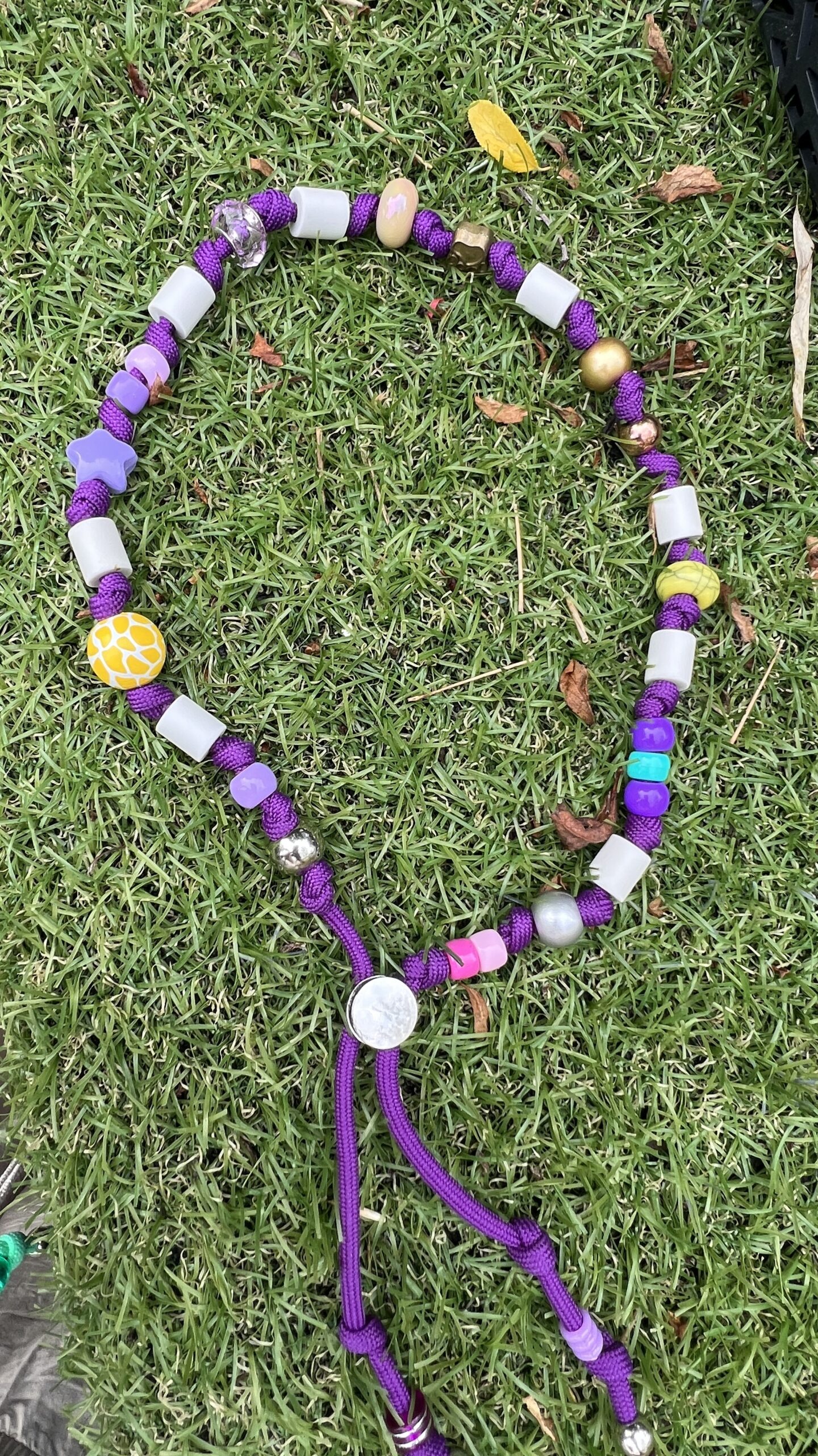 Hondenketting met em kralen paars