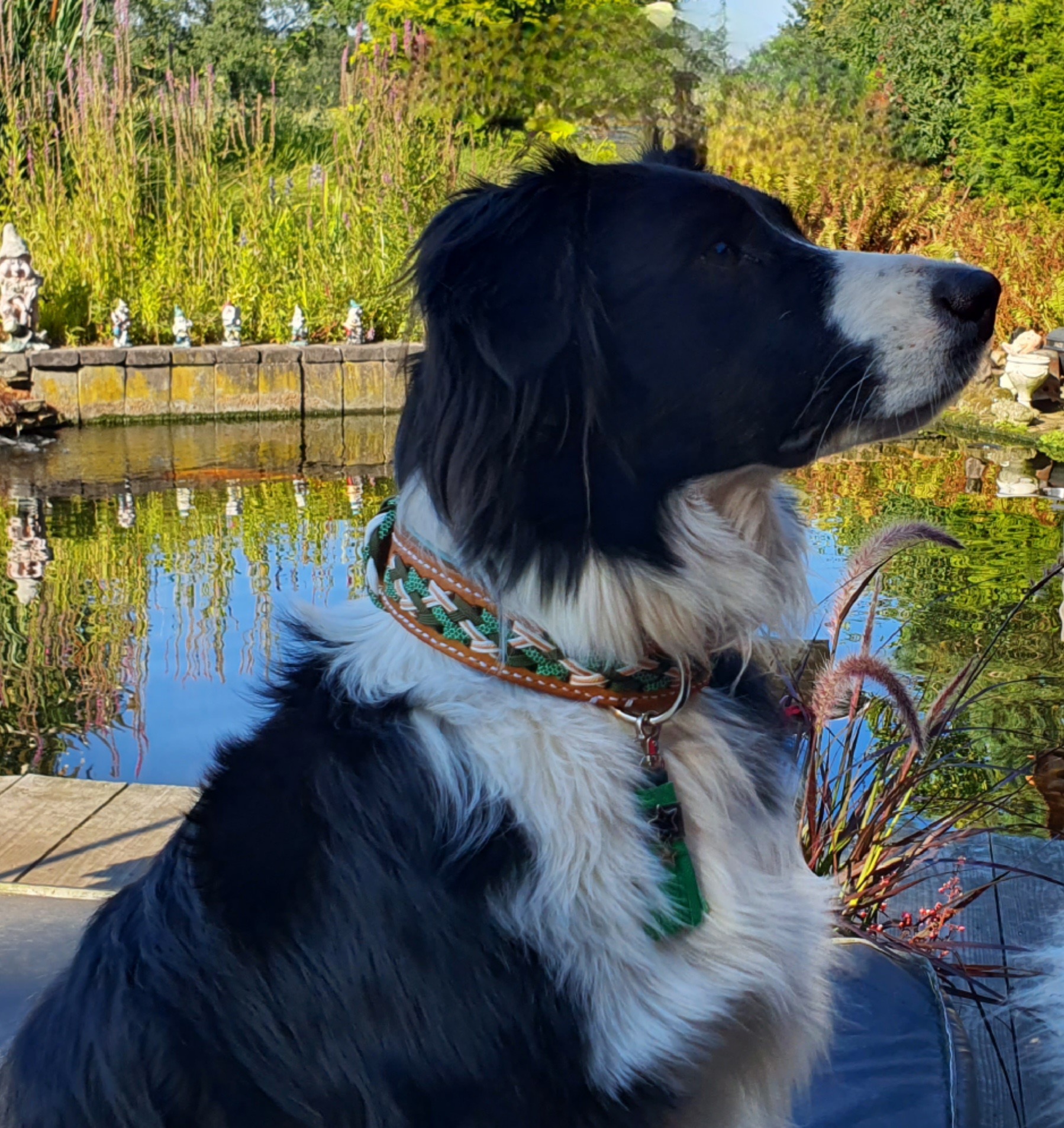 Zoe