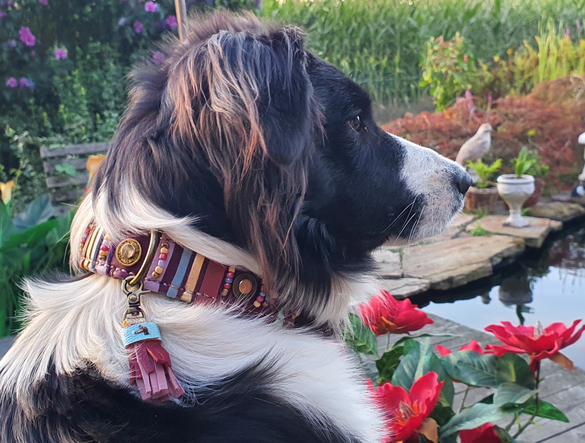 Zoe