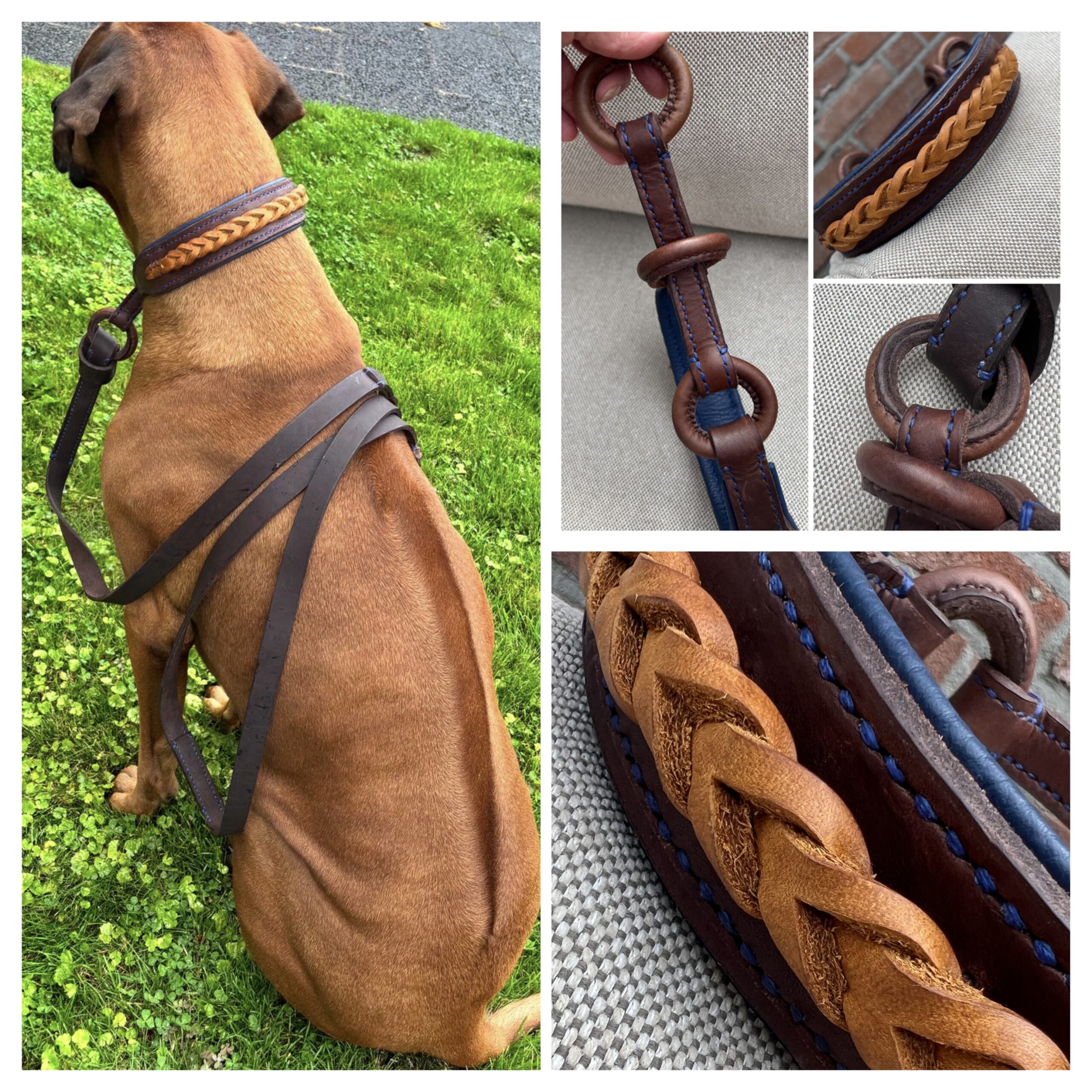 Hardwarevrije leren halsband